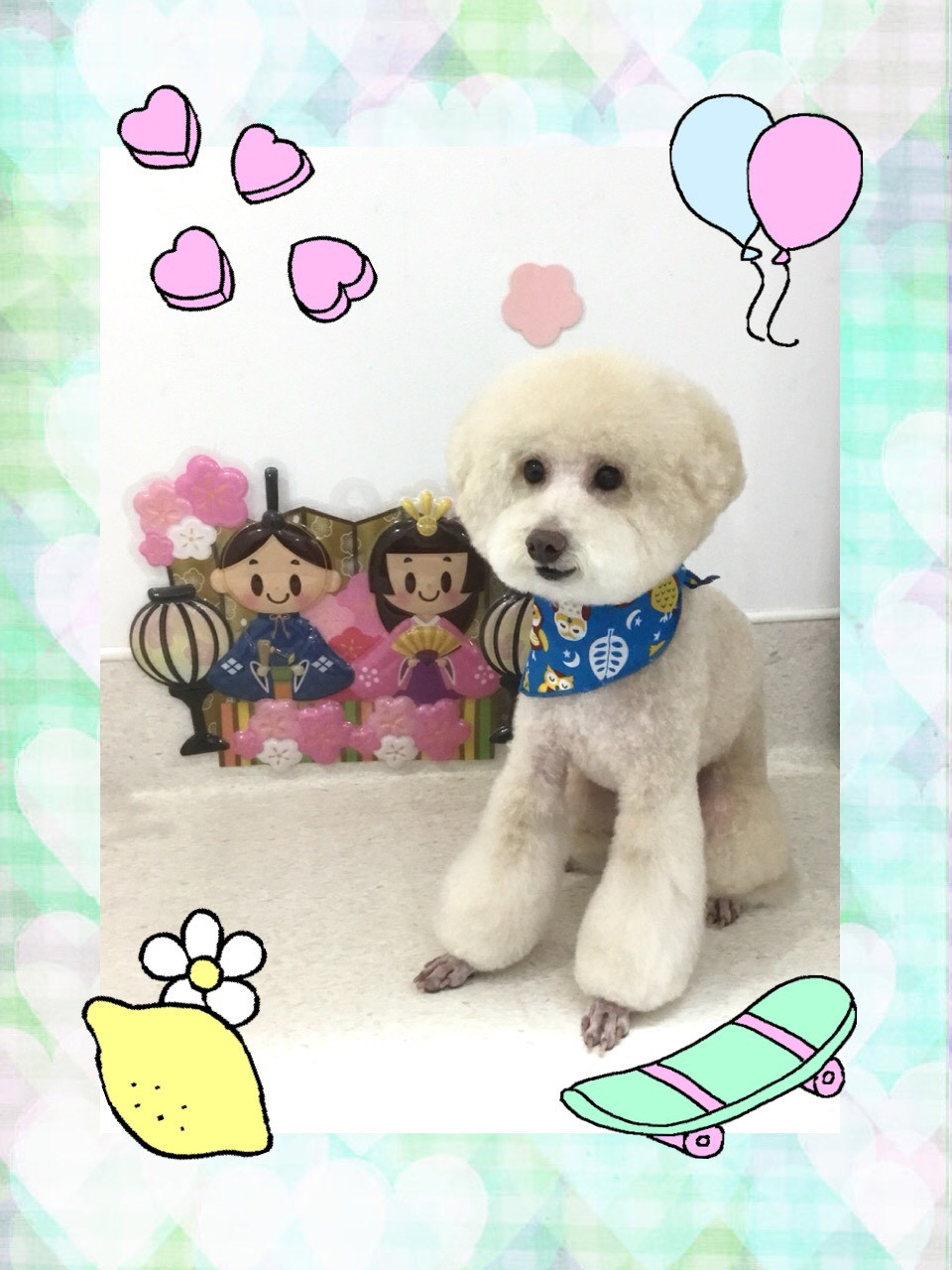 2020年3月21日にトリミングに来てくれたワンちゃん（犬）の紹介です